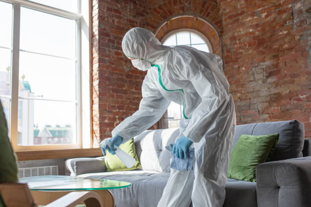 Mold Odor Removal Services in Timberlane, IL